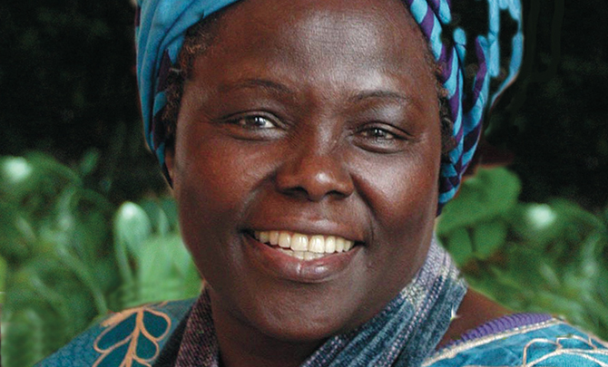 Do stay for tea and coffee: ‘Who says children‘s books are for children‘