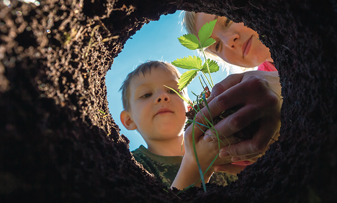 The season of creation